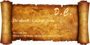 Drabek Cezarina névjegykártya